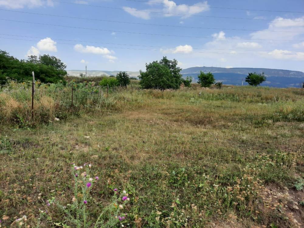 img-20210819-wa0012