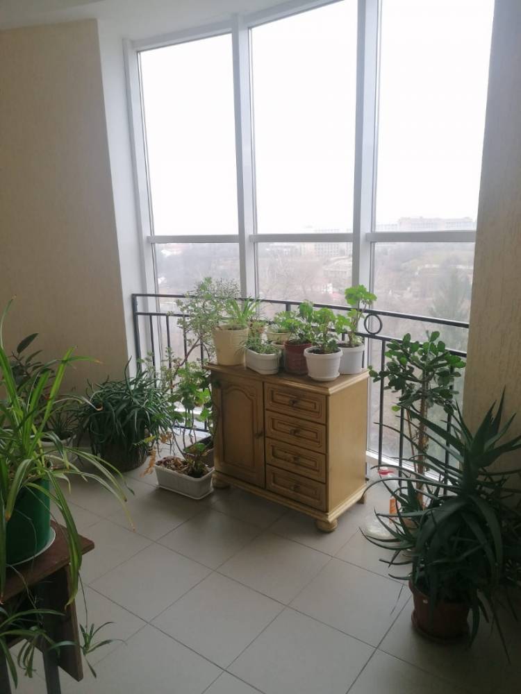 015ebb52-2e3c-4f7c-87e5-947e28149d4a