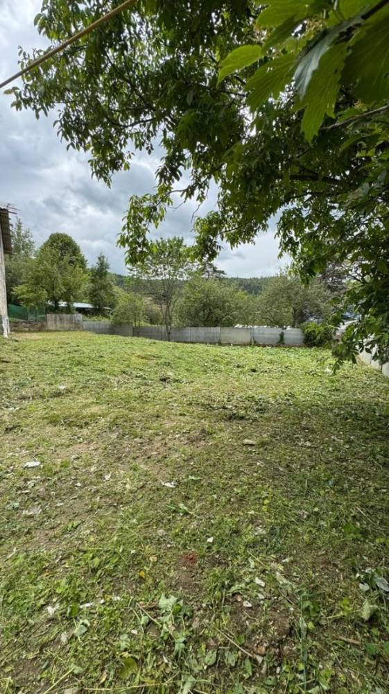 f092d848-eab0-47d2-afcf-de173b98936e