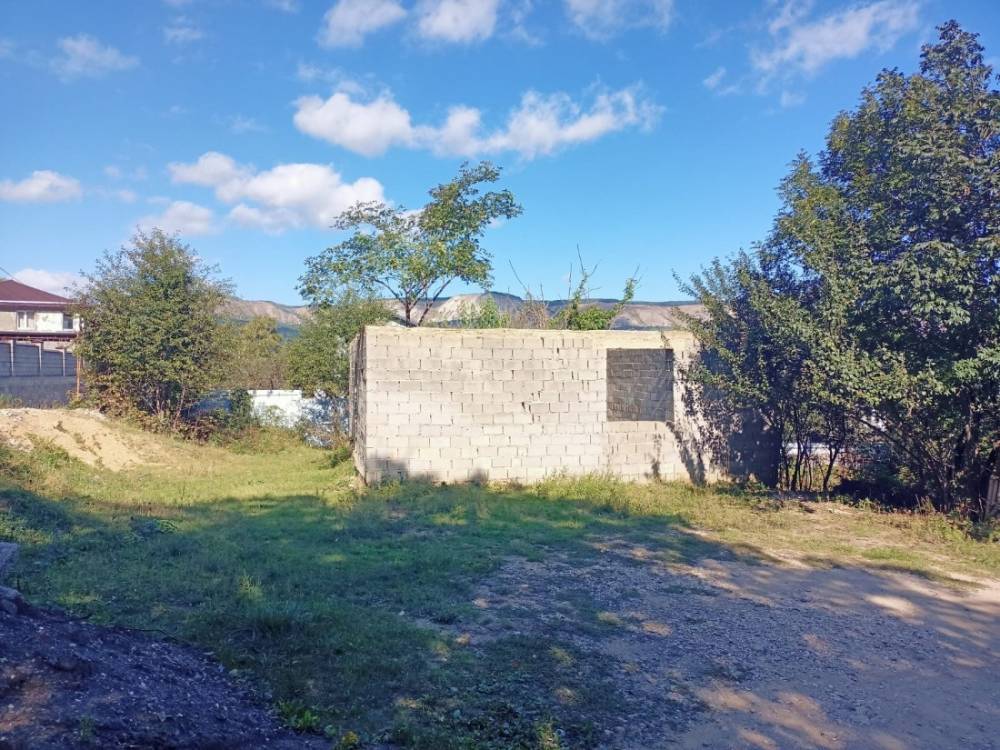 whatsapp image 2025-09-17 at 11.03.25