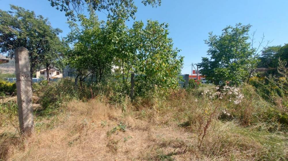 whatsapp image 2025-08-19 at 11.31.37 (1)