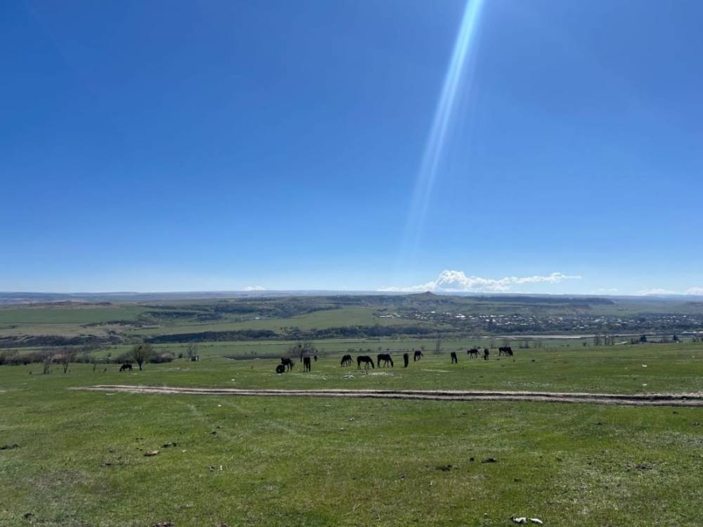 ca2bcf1b-eaee-4cdd-b30e-024b1b8cb421