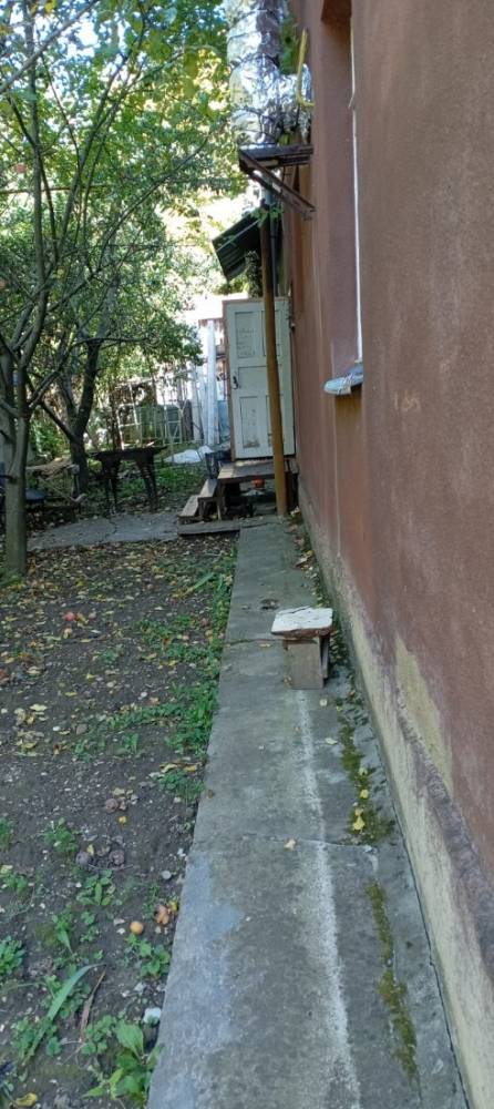 изображение whatsapp 2025-10-09 в 10.44.01_d81dc281