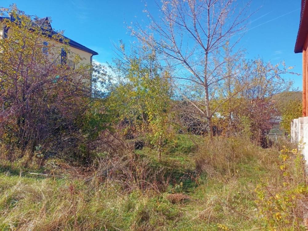 whatsapp image 2025-10-27 at 15.05.11