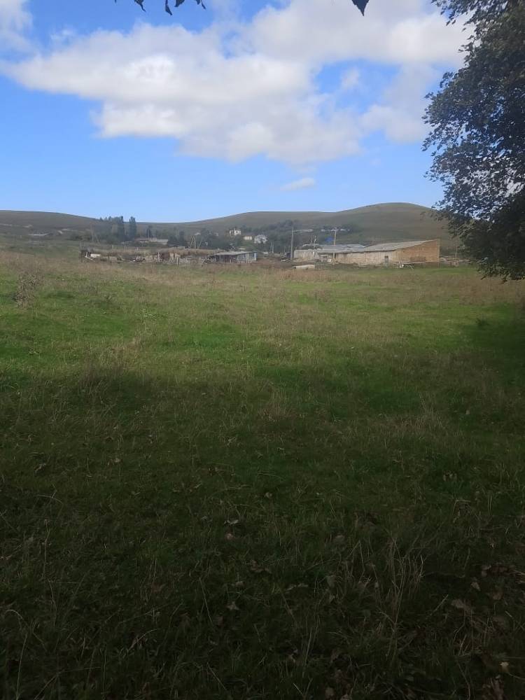 48530f28-bfee-4405-be69-542be64cacc9