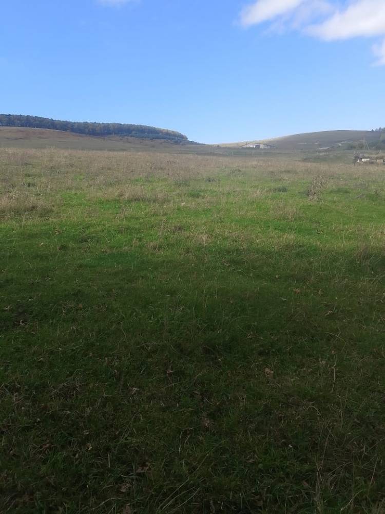 df0394a2-10ca-43f5-a9b8-35a999e16fa9