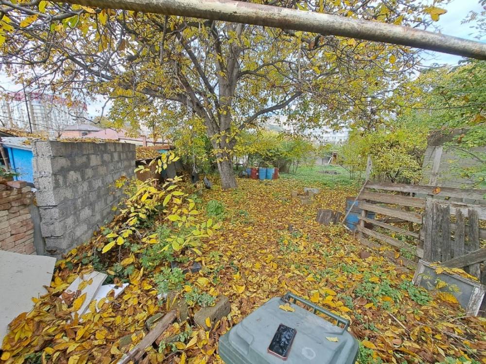 36856eb7-0164-4c17-a3c1-6a8965782533