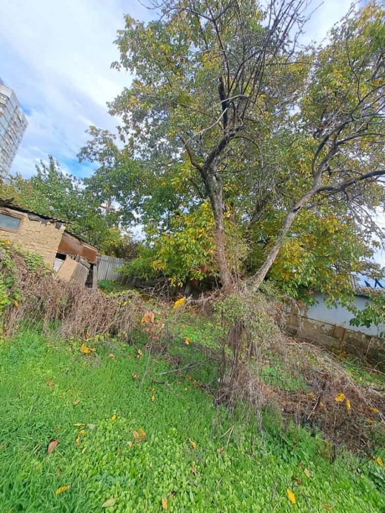 0f40f41e-938a-4dc4-ac93-a3a5b7a4a607