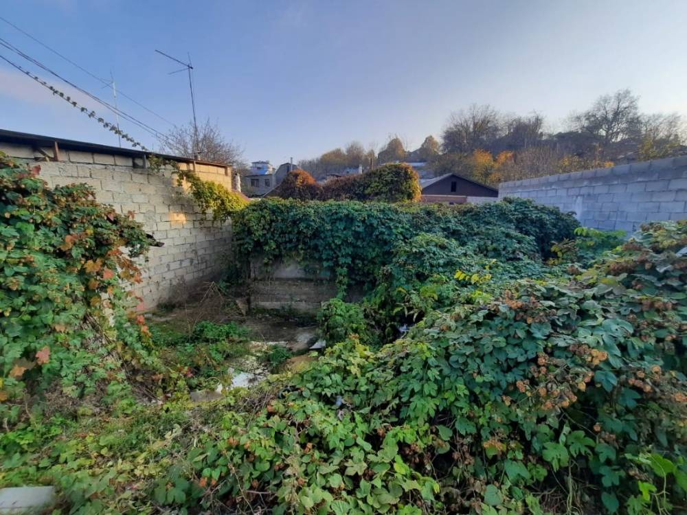 8bcc4e1e-b31f-48a0-a9be-e749e6726d46