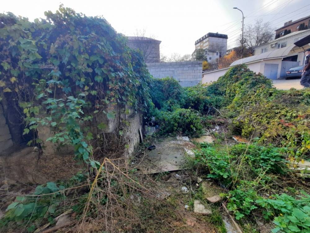 e08175fd-bb2b-440c-b31a-2e1b6e5d1438