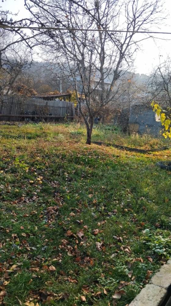 0447930a-8ecc-46a8-859f-461e13f0def4