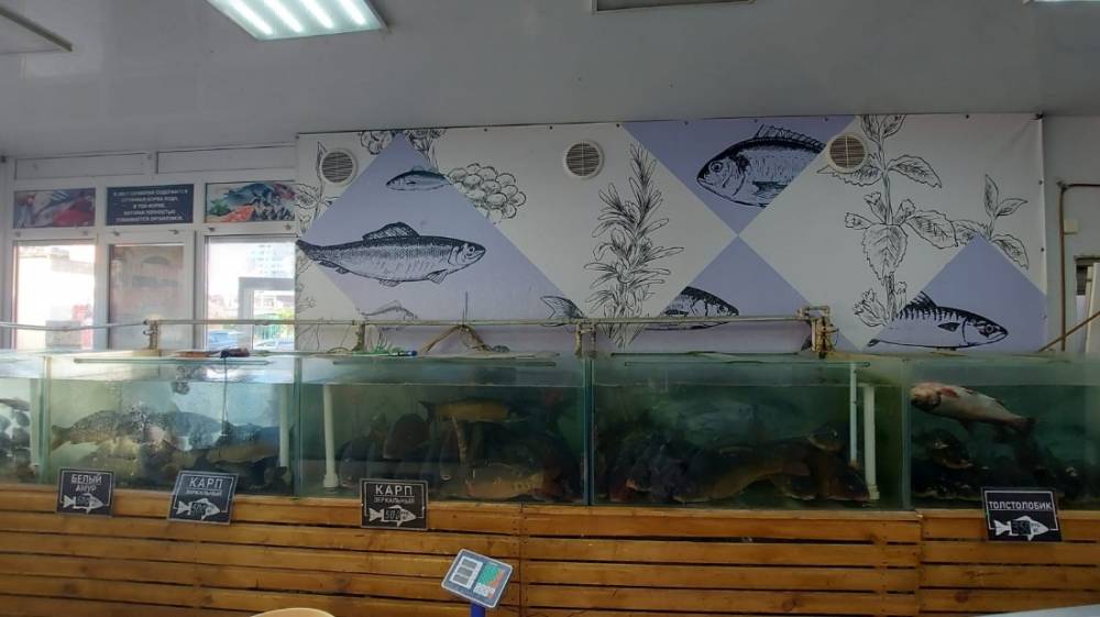 whatsapp image 2025-12-05 at 15.03.57