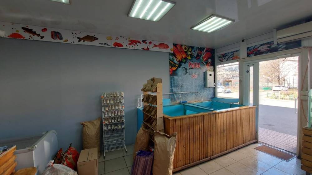 whatsapp image 2025-12-05 at 15.04.12