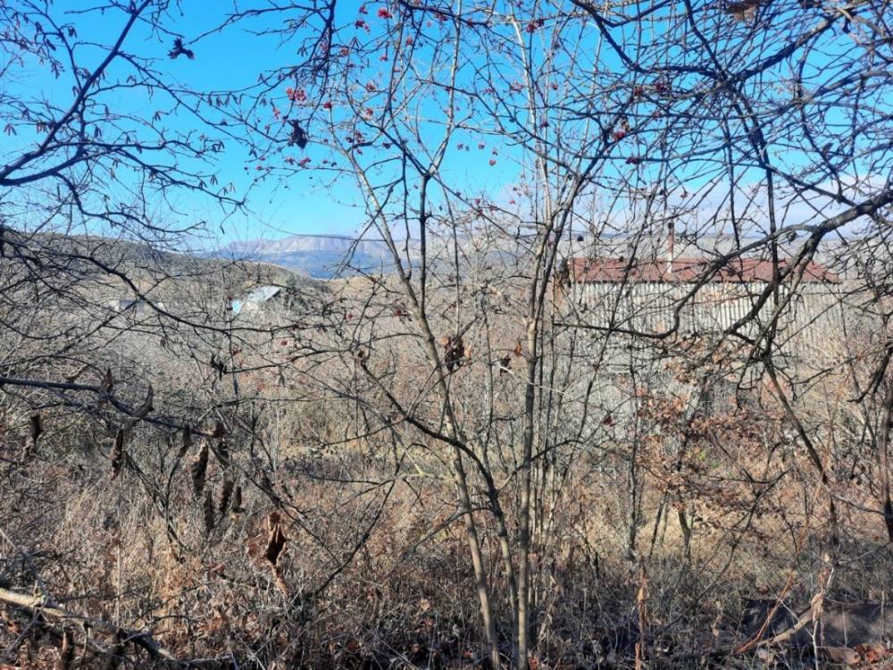 photo_2025-12-25_14-36-40