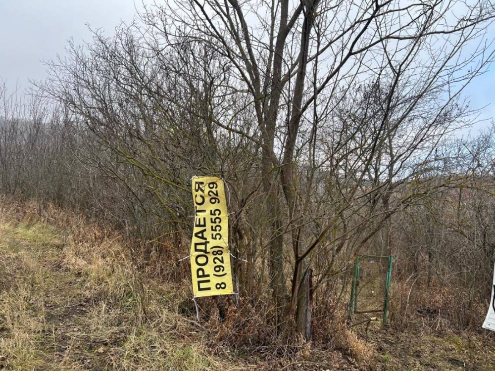 photo_2025-12-25_14-36-55