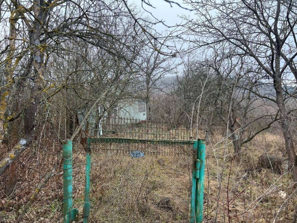 photo_2025-12-25_14-41-18