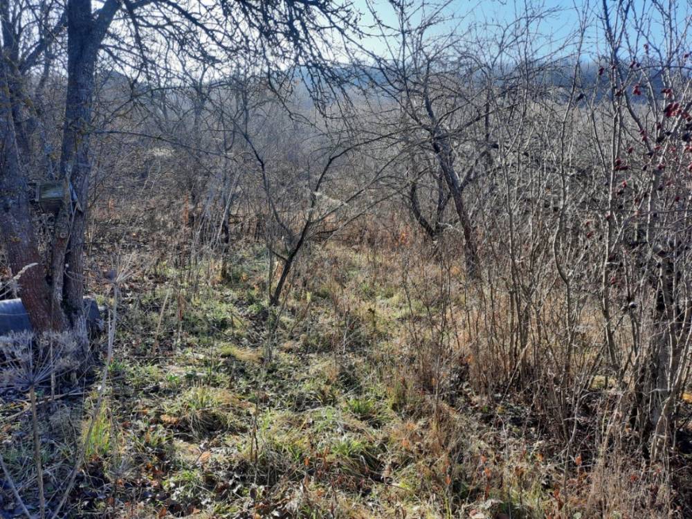 photo_2025-12-25_14-41-26