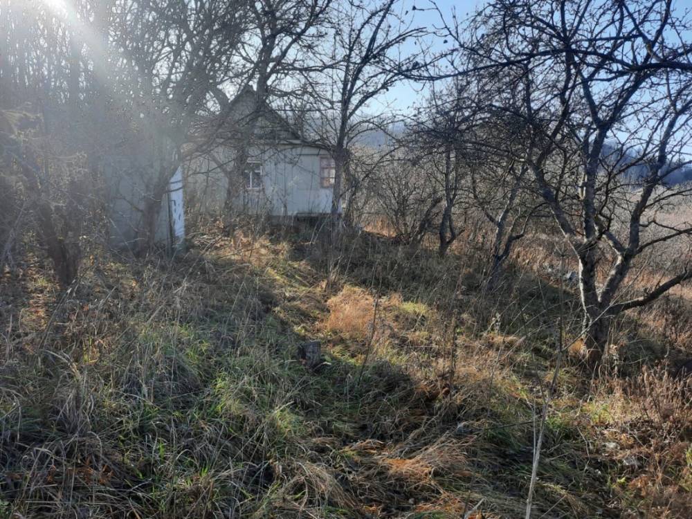 photo_2025-12-25_14-41-33