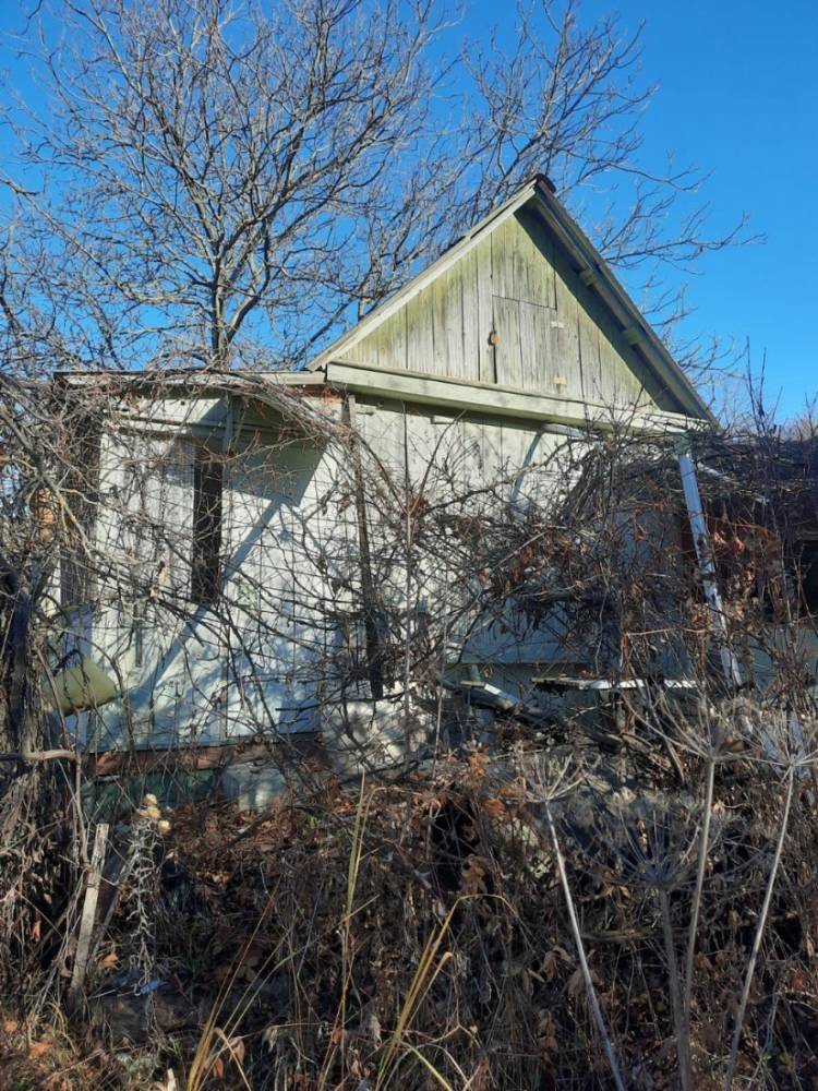 photo_2025-12-25_14-41-40