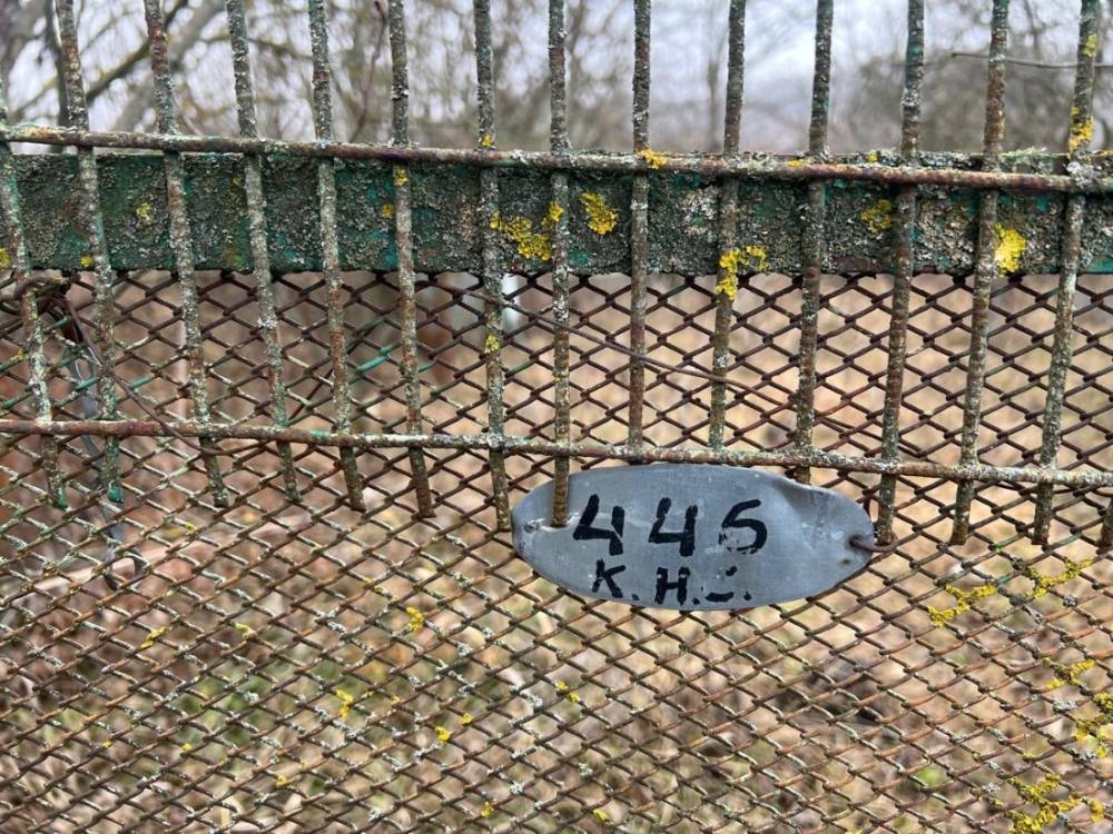 photo_2025-12-25_14-41-52