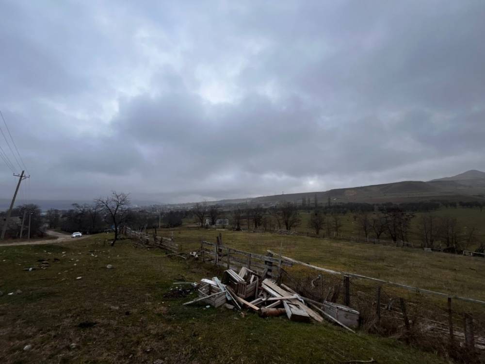 19f845b6-6ffe-4a12-b1dc-1e7fae91a293