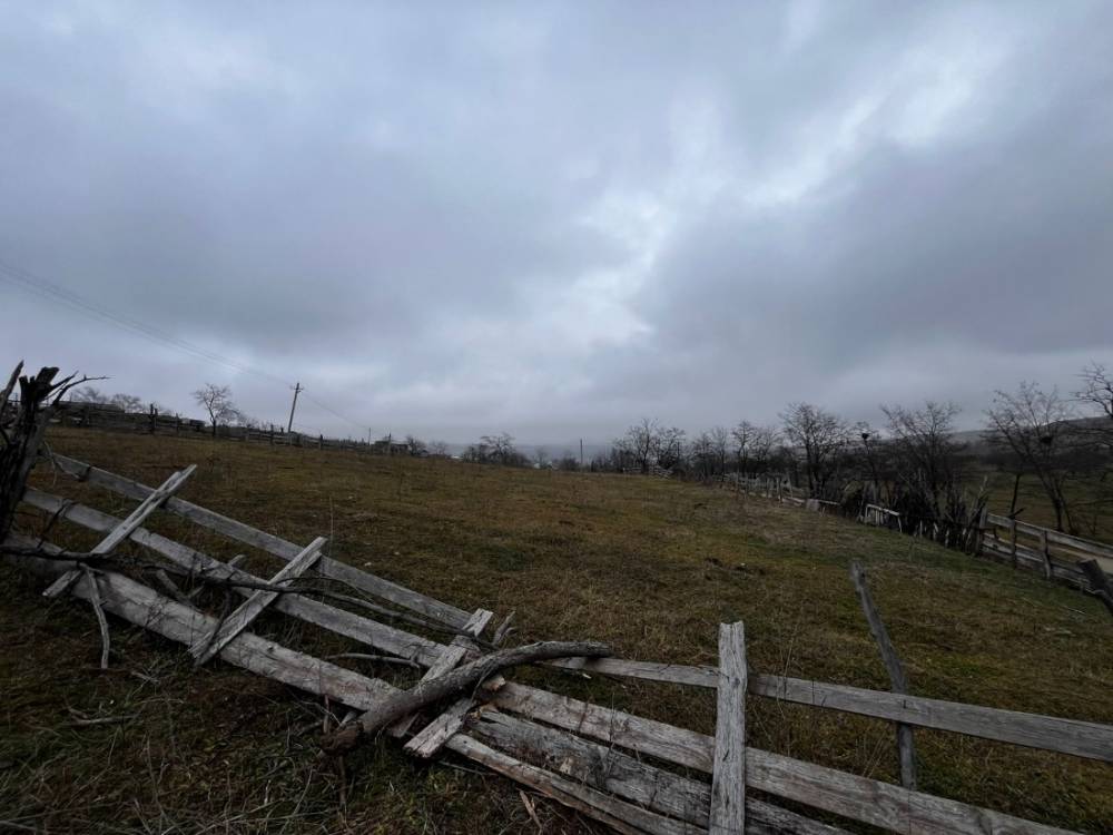 b5d90313-5717-404d-b557-75c63534fdf2