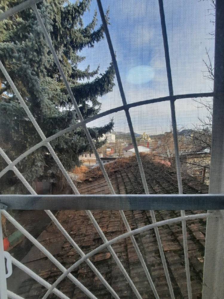 d222100a-d5dc-4148-b49c-4912da3410cc