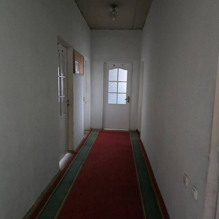 img_20260216_123623_495