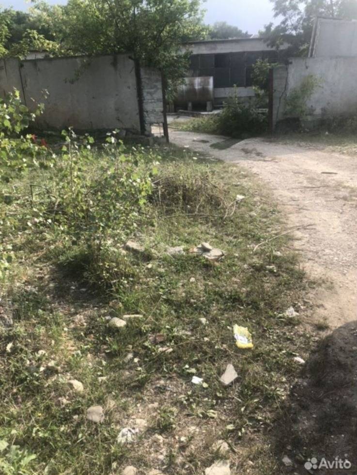 img-20260316-wa0008_edit_46323907298222