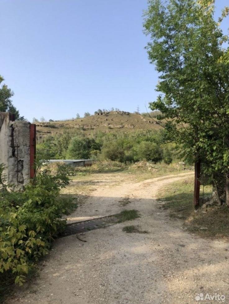 img-20260316-wa0009_edit_46307021915528