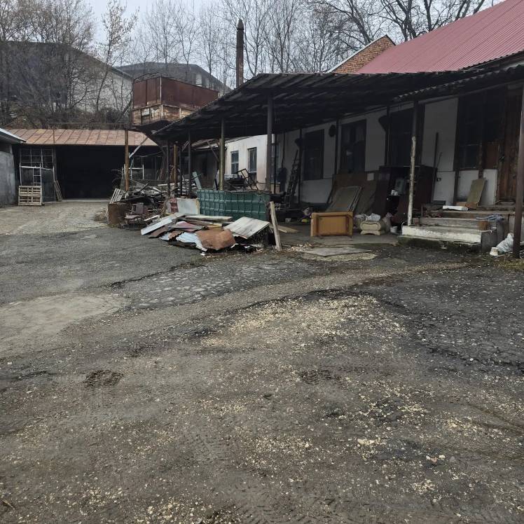 img_20260216_123501_350