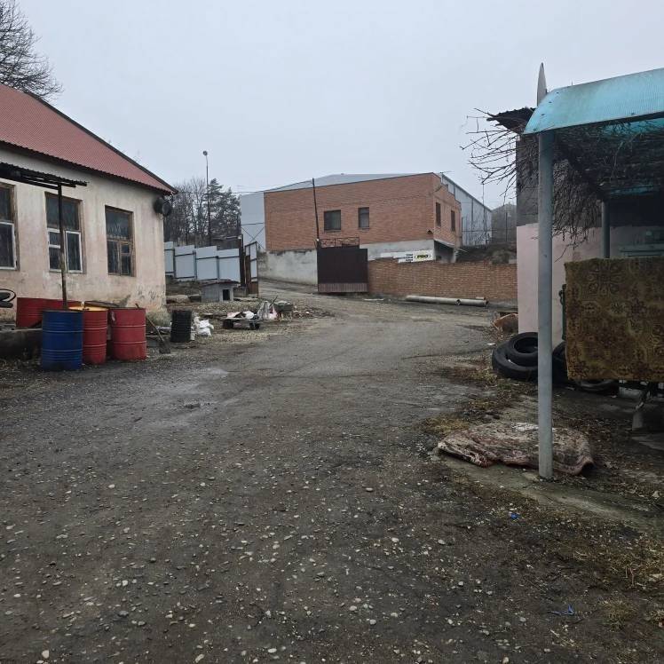 img_20260216_123519_326 (1)