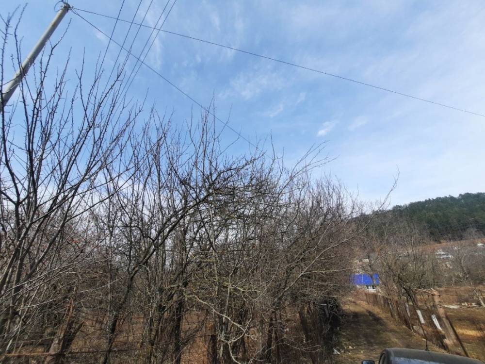 99c3d535-345a-416b-bd88-f39932b458ac