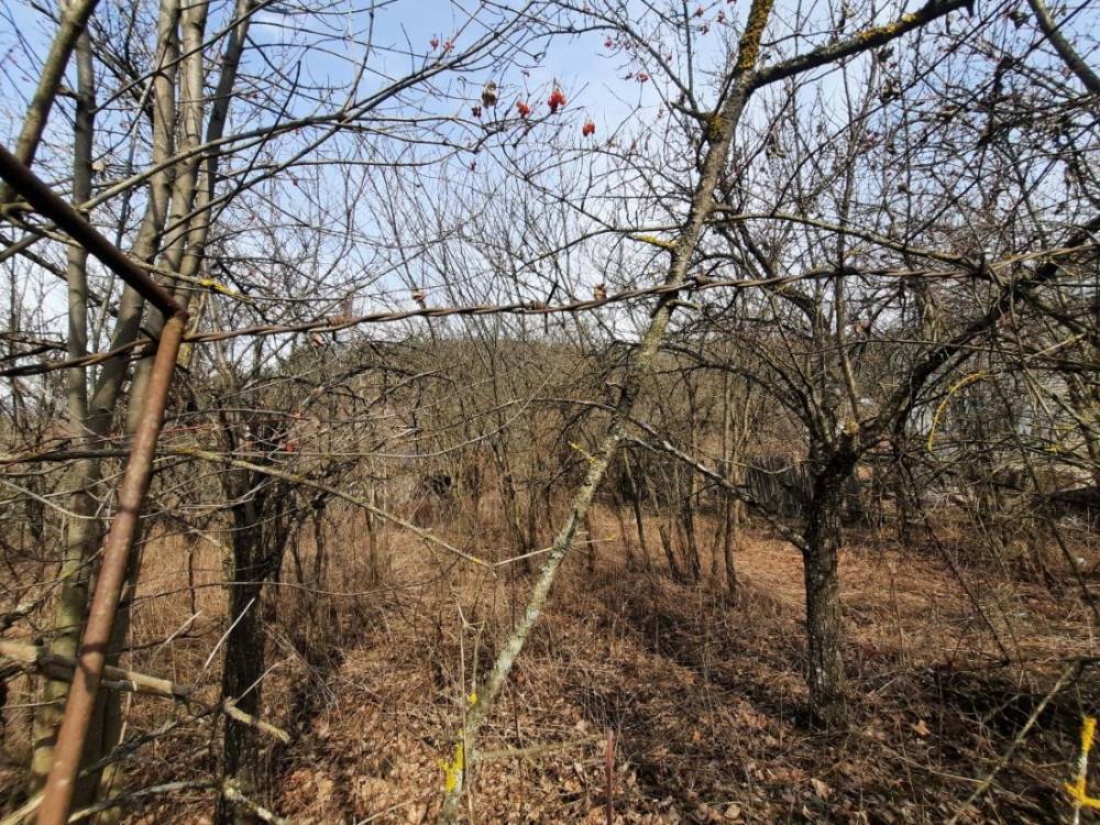 70319a32-1301-4b6f-91bc-bfb34fef948b