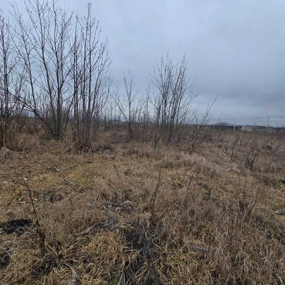 8bsxsrxesmyzfwvmaeqbvikfx0x