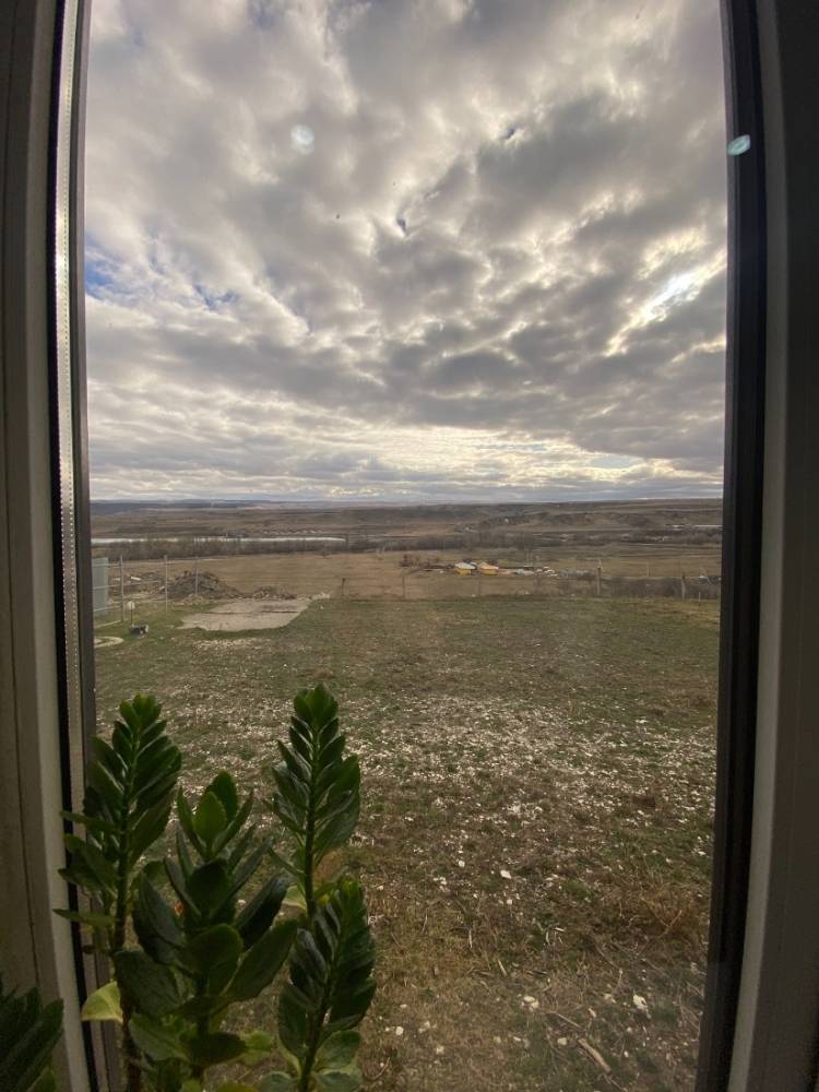 image-03-03-26-02-47-16