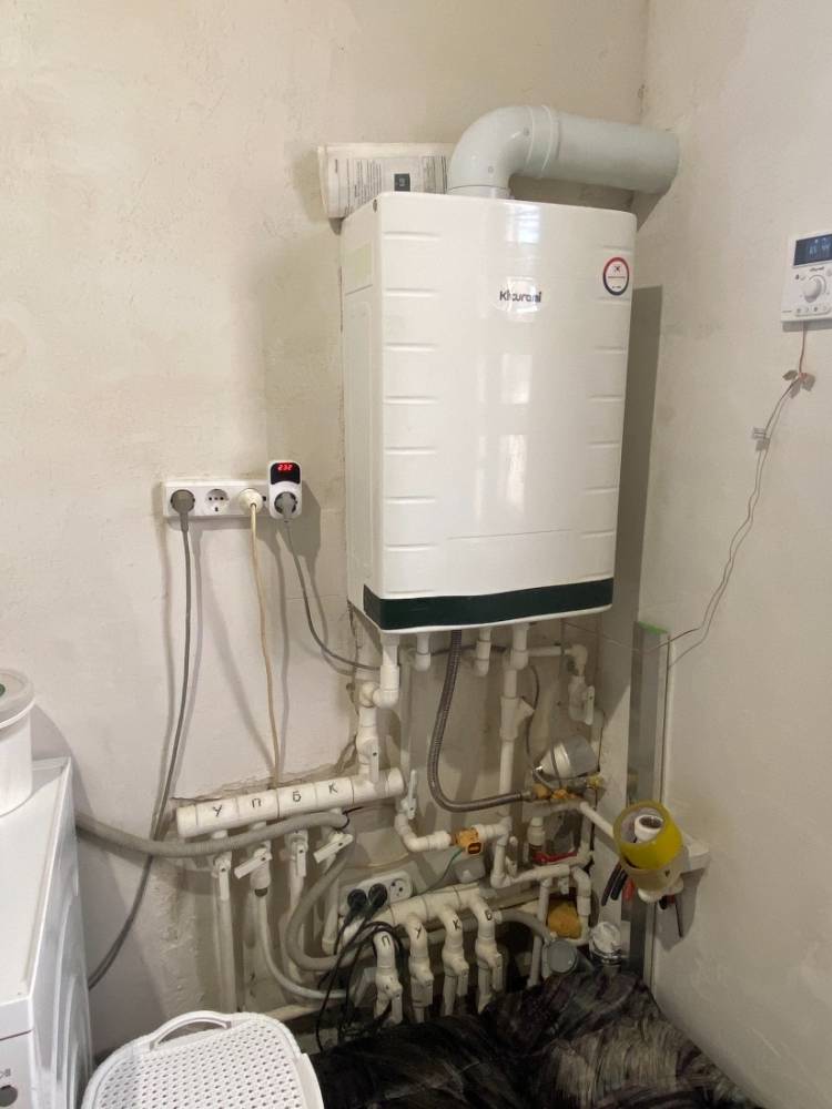 image-03-03-26-02-47-15