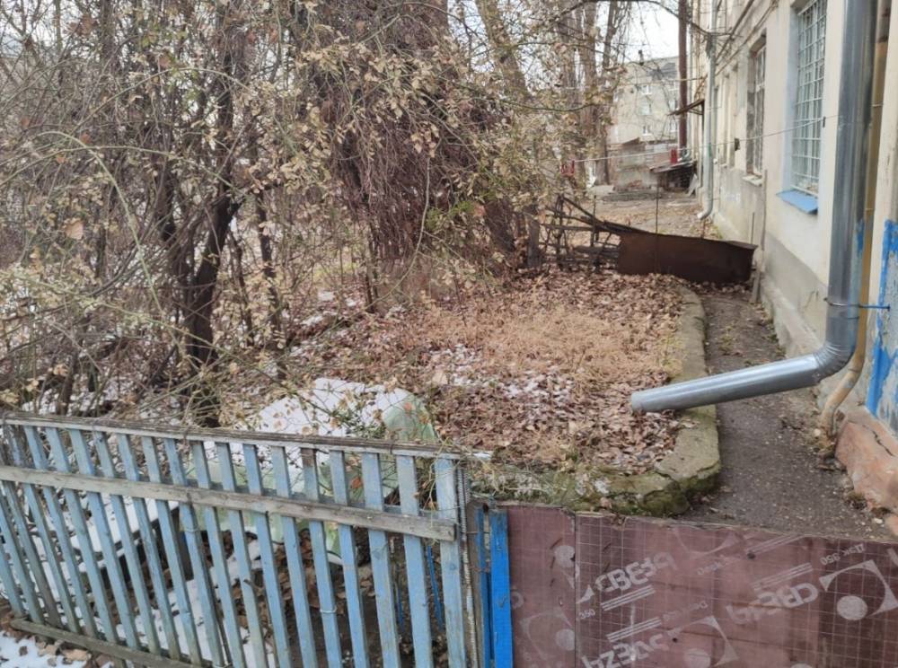 5294262407914001804 (1)