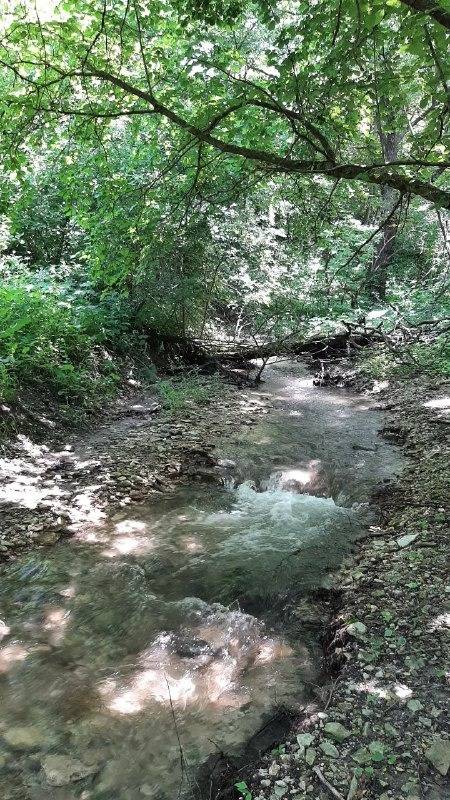 6a4dfcad-afee-48df-91a6-cbc26b6e4184