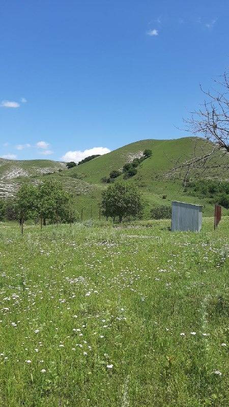 42faa9b4-24a5-44ed-a785-98de3732e798