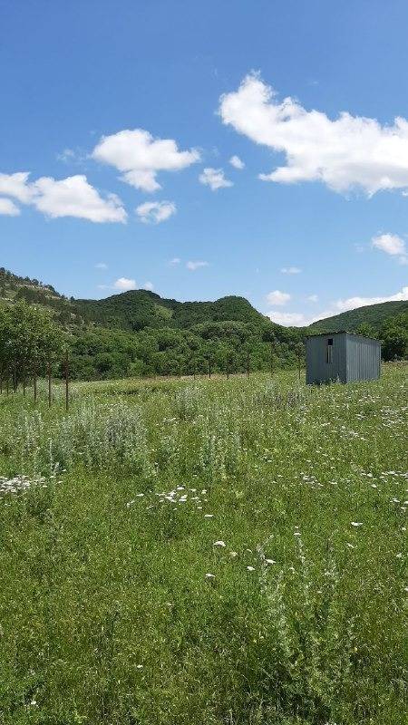 e065f8f1-5693-4be9-9d1b-2e416e48d022