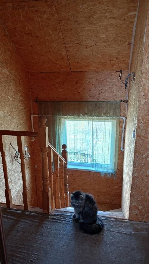 photo_5344028404426151378_y