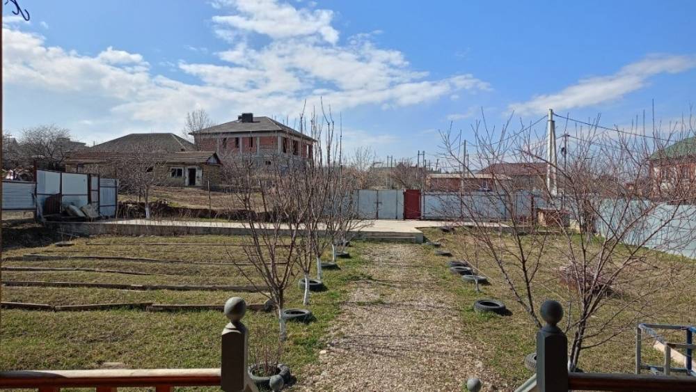 photo_5344028404426151363_y