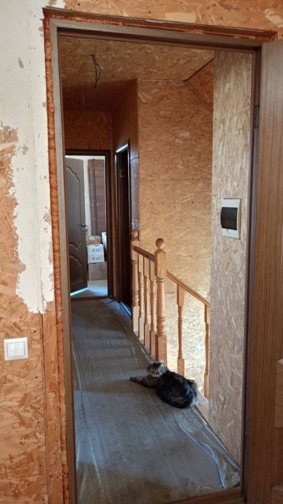 photo_5344028404426151388_y