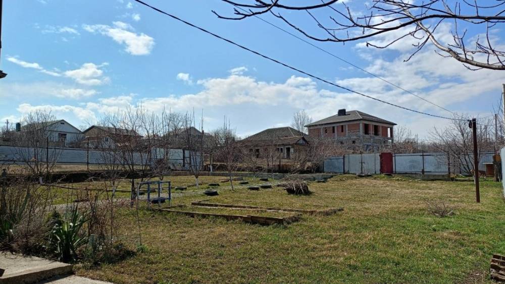 photo_5344028404426151364_y (1)