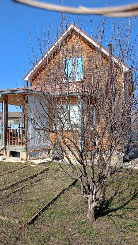 photo_5344028404426151368_y