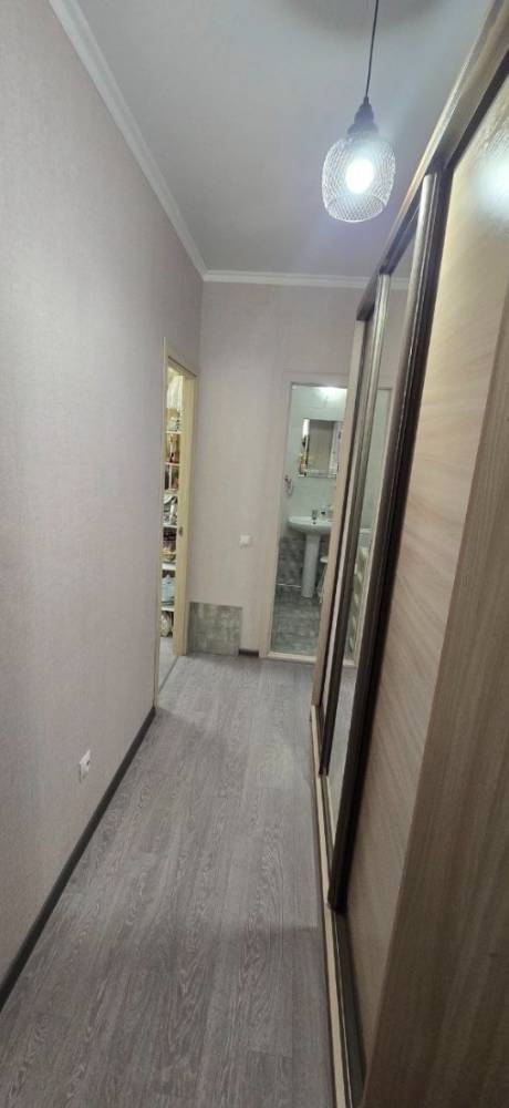 photo_5418173485713921763_y