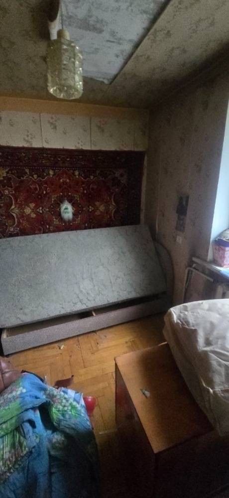 photo_5379969691486461536_y