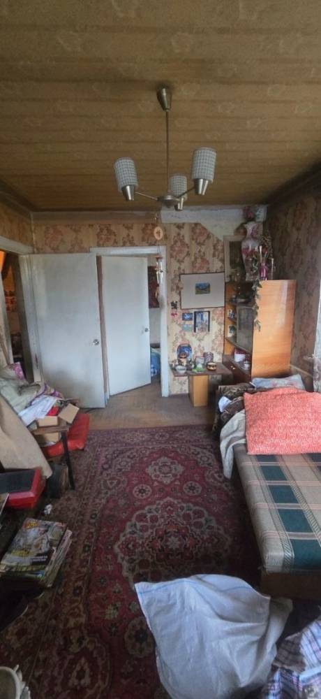 photo_5379969691486461533_y