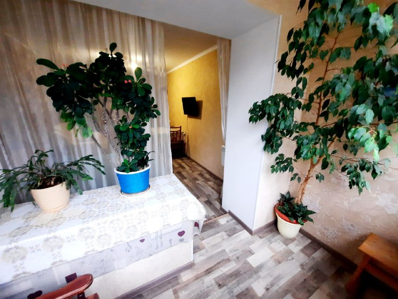 загруженное (1)